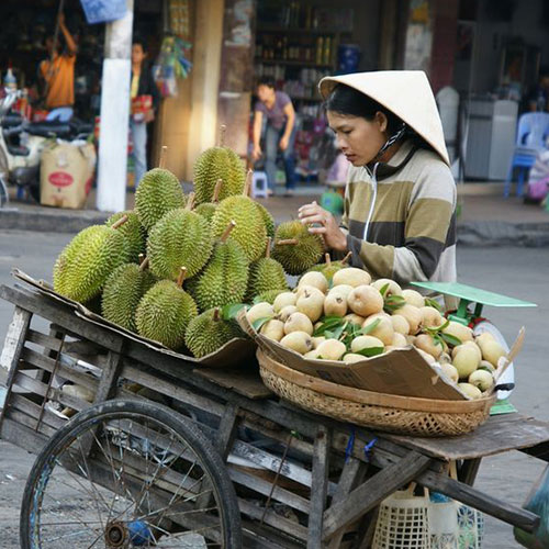 durian fruta de indonesia